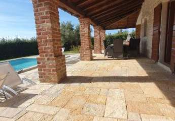 447279-Vorschaubild4