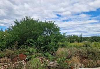 447310-Vorschaubild2