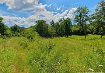 458390-Vorschaubild2