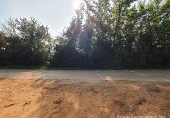 447264-Vorschaubild4