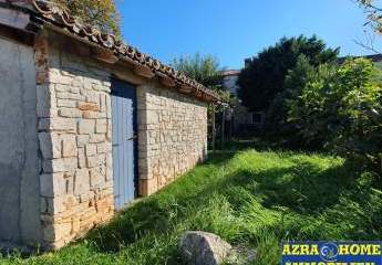 458387-Vorschaubild4