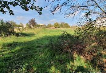 447244-Vorschaubild3