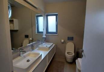 447240-Vorschaubild2