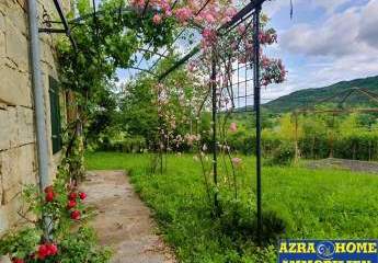 447284-Vorschaubild2