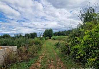 447309-Vorschaubild4