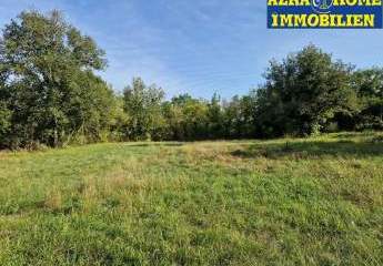 447317-Vorschaubild2