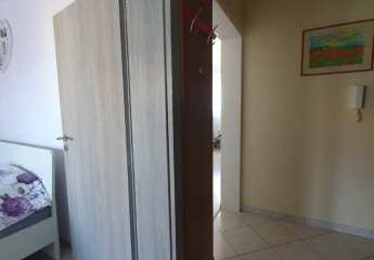 458384-Vorschaubild3