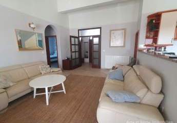 458389-Vorschaubild2