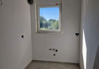 447285-Vorschaubild4