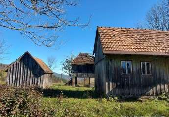 447299-Vorschaubild2