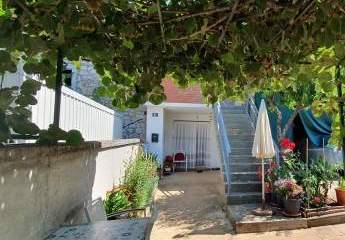 458385-Vorschaubild3