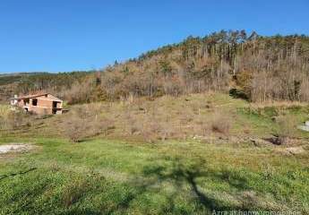 447239-Vorschaubild3