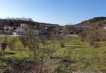 447239-Vorschaubild4