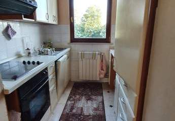 447243-Vorschaubild4