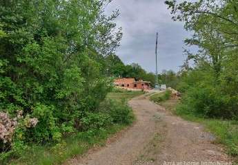 447249-Vorschaubild2