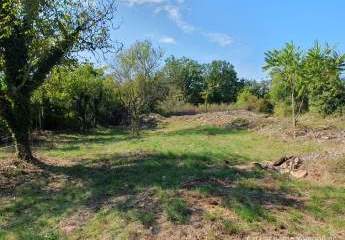 447256-Vorschaubild3