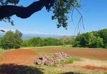 447259-Vorschaubild4