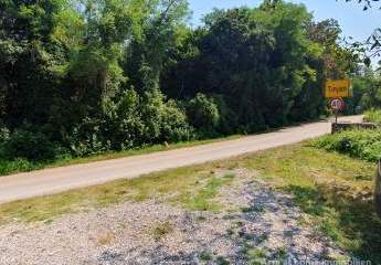 447276-Vorschaubild2