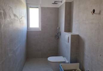 447286-Vorschaubild3