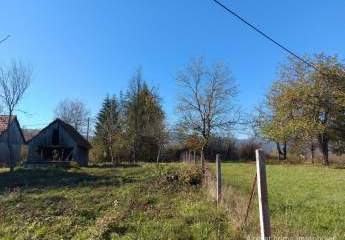 447299-Vorschaubild4