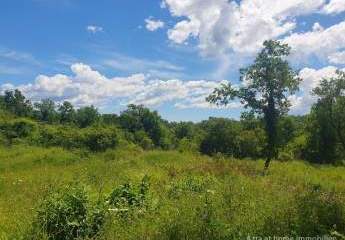 458390-Vorschaubild3