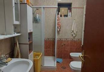 447248-Vorschaubild4