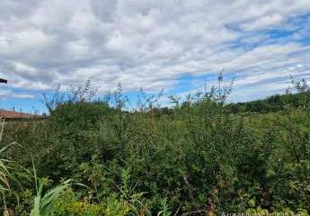 447309-Vorschaubild2