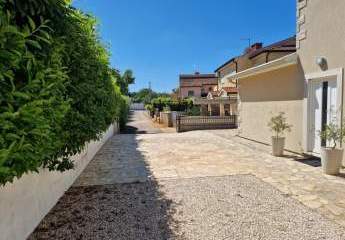 447315-Vorschaubild4