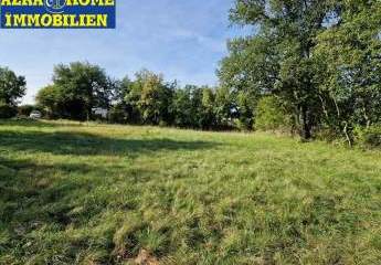 447317-Vorschaubild4