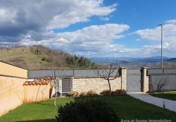 447254-Vorschaubild3