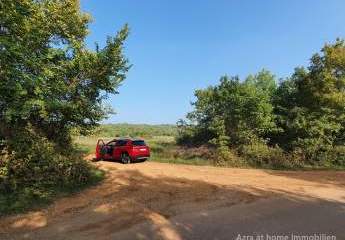 447264-Vorschaubild3