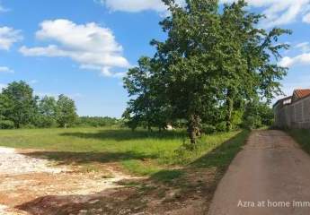 447296-Vorschaubild2