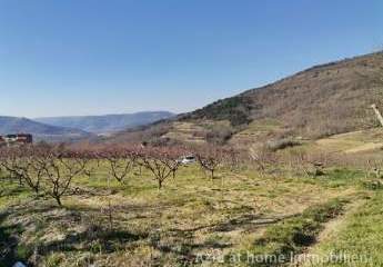 Baugrundstück 3306m2 mit Blick auf Motovun, zu verkaufen, Z-622