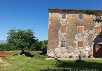 447259-Vorschaubild3