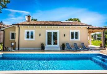 447257-Vorschaubild2