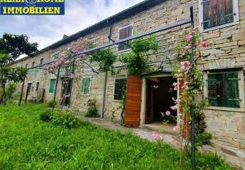 447284-Vorschaubild3