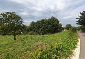 447305-Vorschaubild4