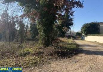 476675-Vorschaubild4