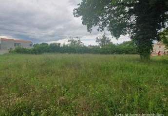 447241-Vorschaubild3