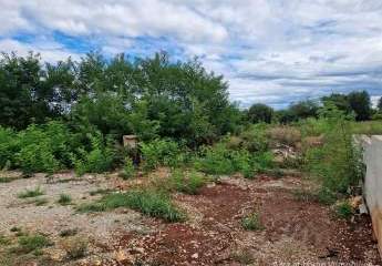 447310-Vorschaubild4