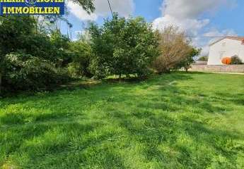 447316-Vorschaubild2