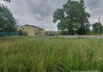 447241-Vorschaubild2