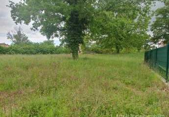 447241-Vorschaubild4