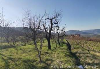 447247-Vorschaubild2