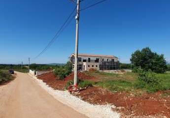 447255-Vorschaubild2