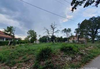 447263-Vorschaubild2