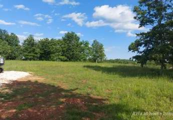 447296-Vorschaubild3