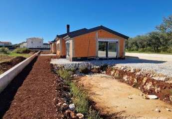 447301-Vorschaubild2