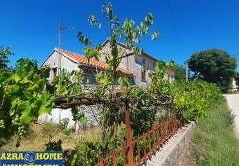 447306-Vorschaubild2