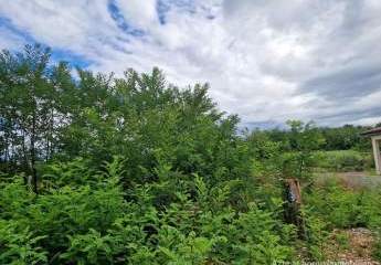 447310-Vorschaubild3